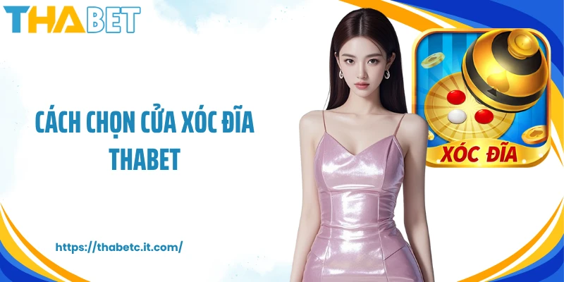 Cách Chọn Cửa Xóc Đĩa THABET Theo Chuyên Gia Tại Nhà Cái