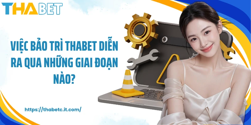 Việc bảo trì Thabet diễn ra qua những giai đoạn nào?
